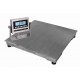 Stainless Steel Platform Scales